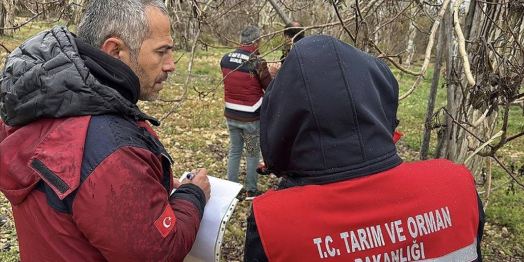 Meyve sebzede büyük tehlike: Stoklayın, yaz gelmeden fiyatlar uçacak 6